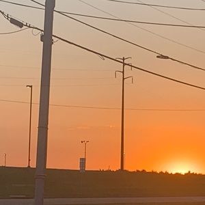 Meet your Posher, Bailey